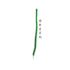 Single green braided shoelace