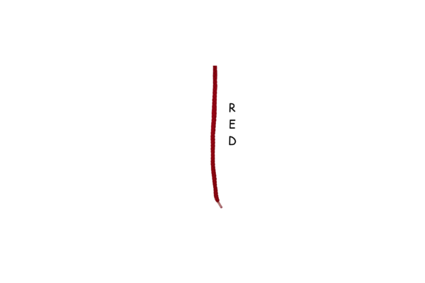 Single red braided shoelace